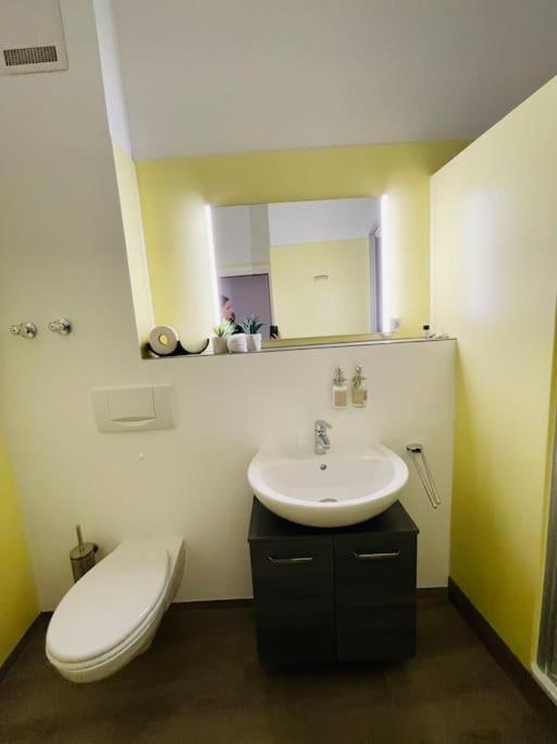 Fewo 20 - Appartement Im Rottalblick - Youngmodern Wohnen Mit Bademantelgang Zur Therme, Tv, Balkon Und Persoenlichem Gaesteempfang Von Astarte Estate Бад-Грисбах Экстерьер фото
